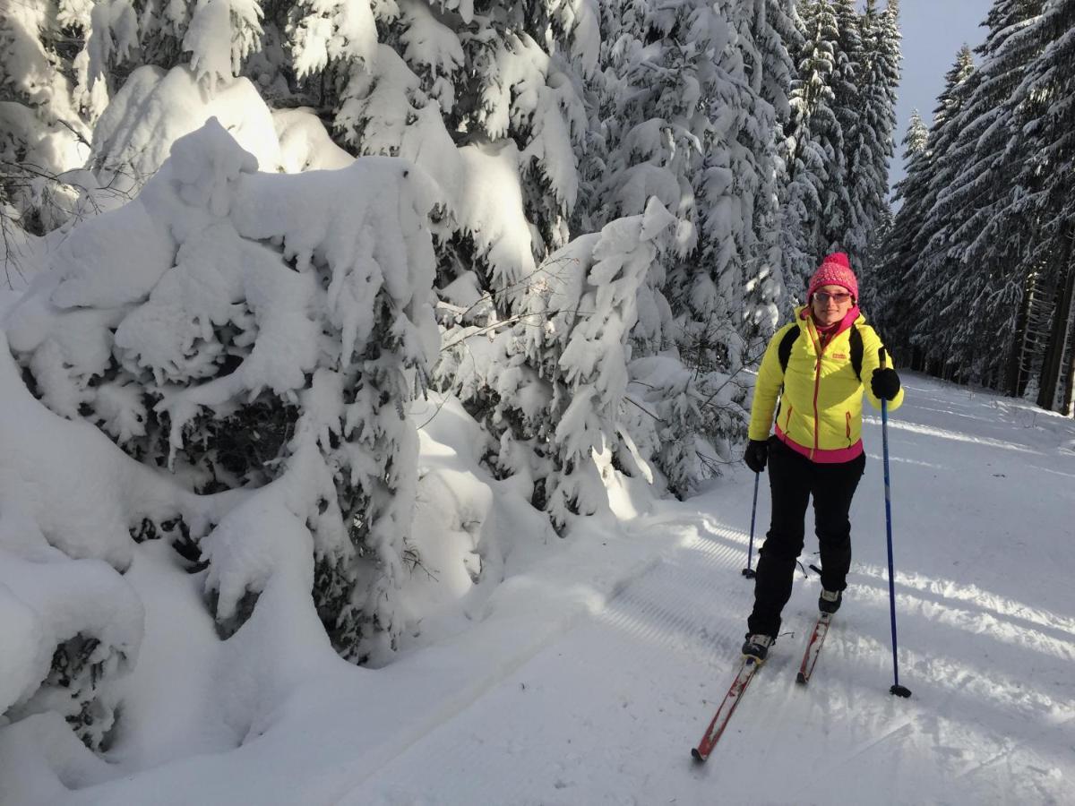Rekreacni Domek Kobylnice Lipno Lipno nad Vltavou Zewnętrze zdjęcie