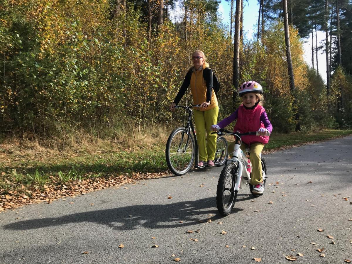 Rekreacni Domek Kobylnice Lipno Lipno nad Vltavou Zewnętrze zdjęcie